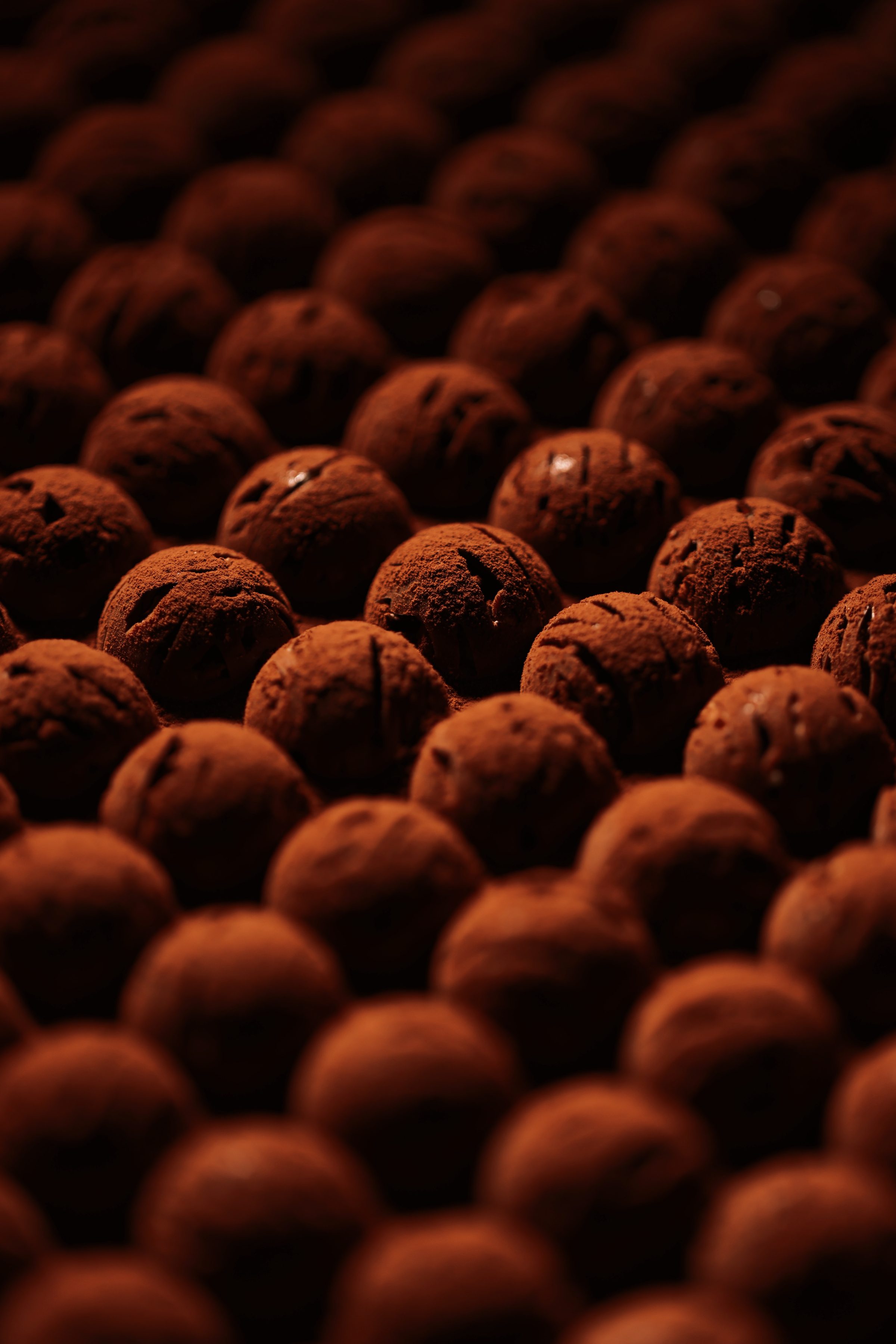 Haven cocoa-dusted truffles